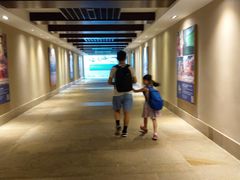 -三亚湾海居铂尔曼度假酒店