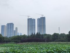 -月湖风景区