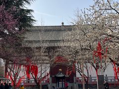 -西安青龙寺遗址景区