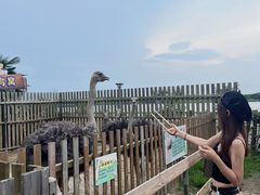 -太阳岛度假酒店