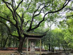-兰亭风景区
