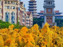 -诚毅广场(地铁站)