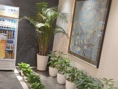 -黑松白鹿(金融街店)