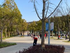 -新江湾城公园