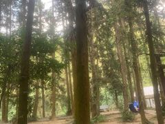 -英西峰林九重天景区