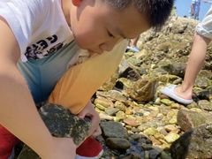 -蓬莱欧乐堡梦幻世界