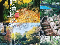 -中山公园