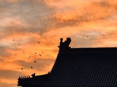 -天坛公园