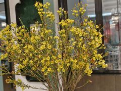 -南堂馆·新川菜(春熙路店)