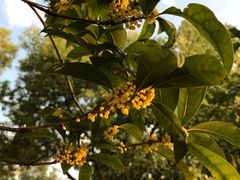 -艾溪湖湿地公园