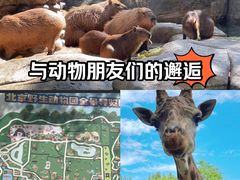 -北京野生动物园
