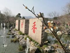 -香雪海
