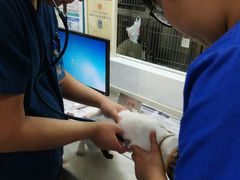-芭比堂动物医院(广州爱宠下渡路分院)