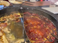 -重庆川渝肥妹火锅