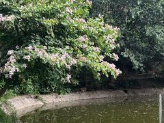 -水濂山森林公园