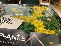 -PlantsEatery·植物食堂(REX春熙店)