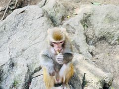 -黔灵山公园