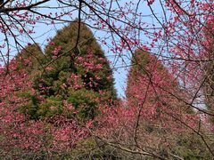 -白塘生态植物园