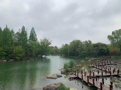 -苏州金鸡湖大酒店