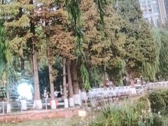 -温江公园
