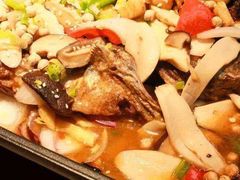 -青青河边草·小小河边鱼(万达广场太仓店)