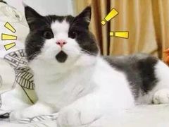 -避风塘(百联东郊店)