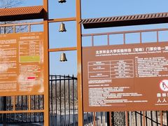 -北京鹫峰国家森林公园