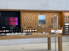 -Apple零售店(苏州店)