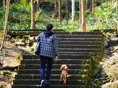 -凤栖山