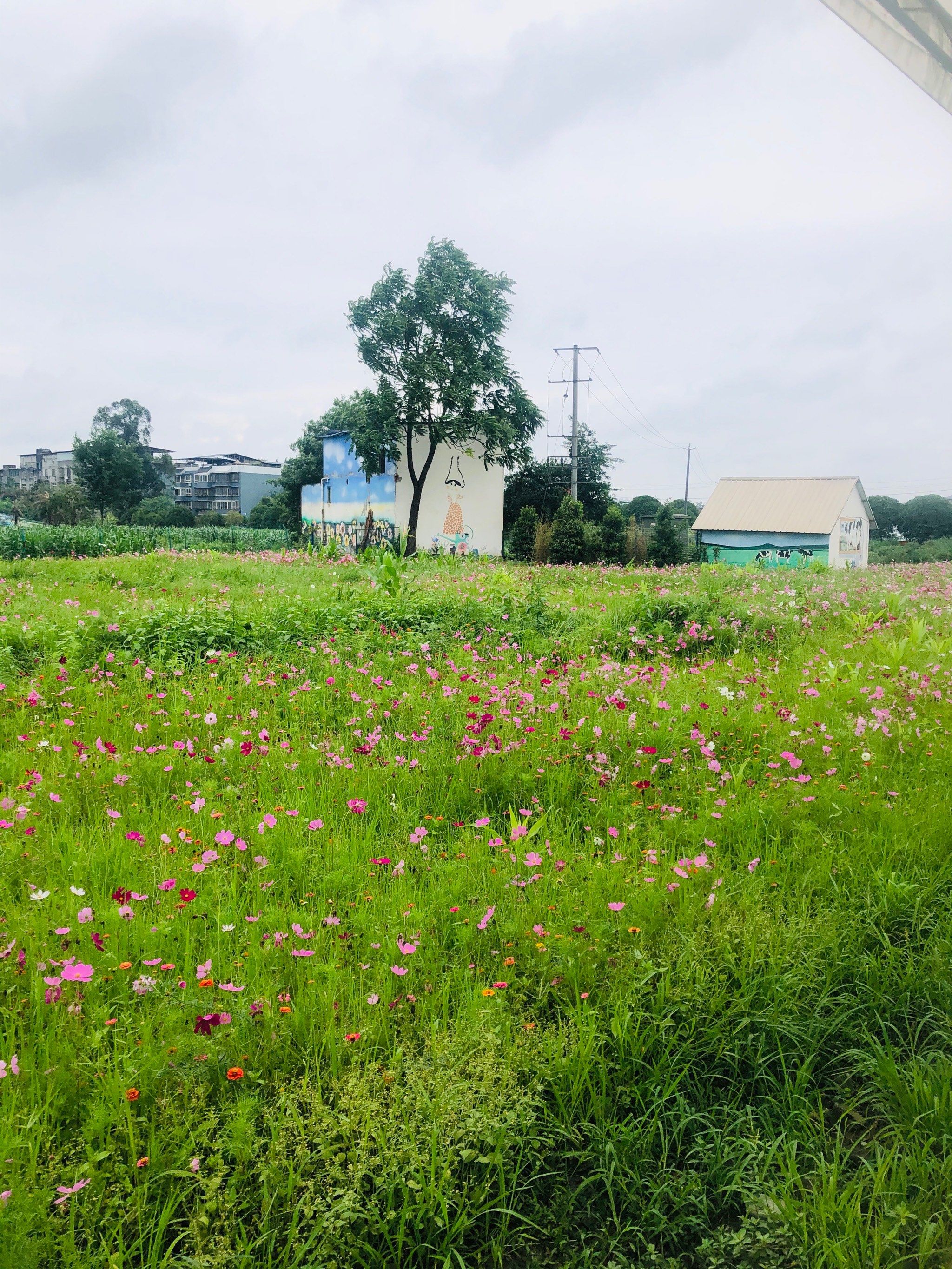 郫县团结的一个庄园