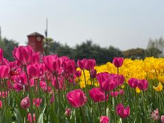 -大宁公园