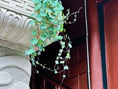 -都江堰普照寺