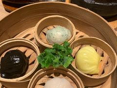-觅唐MITONG(鸟巢店)