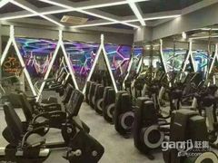 -金吉鸟健身游泳