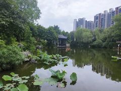 -岭南和园