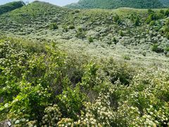 -灵山