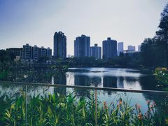 -四海公园(南山区)