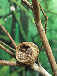 -Zoolung Zoolung动物主题公园(海信广场店)