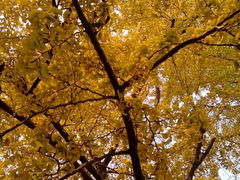 android_upload_pic-八大关景区
