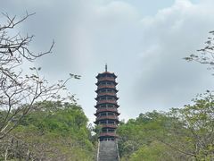 -红花山公园
