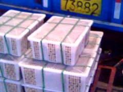 -布吉农产品批发市场