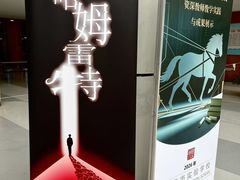 -上海市实验学校