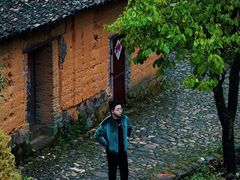 -杨家堂村