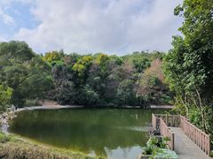 -深圳国际园林花卉博览园