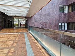 -香港大学