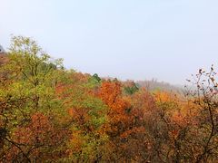 -北京鹫峰国家森林公园