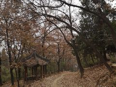 -终南山古楼观历史文化景区