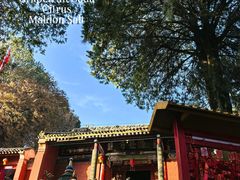 -少华山国家森林公园