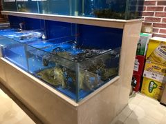 -姜君·千岛湖鱼头馆(浦东大道店)