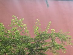 -北京市劳动人民文化宫(太庙)